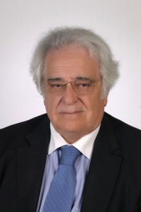 M. J. Lemos de Sousa
