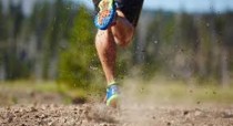 A moda dos trails A moda dos trails